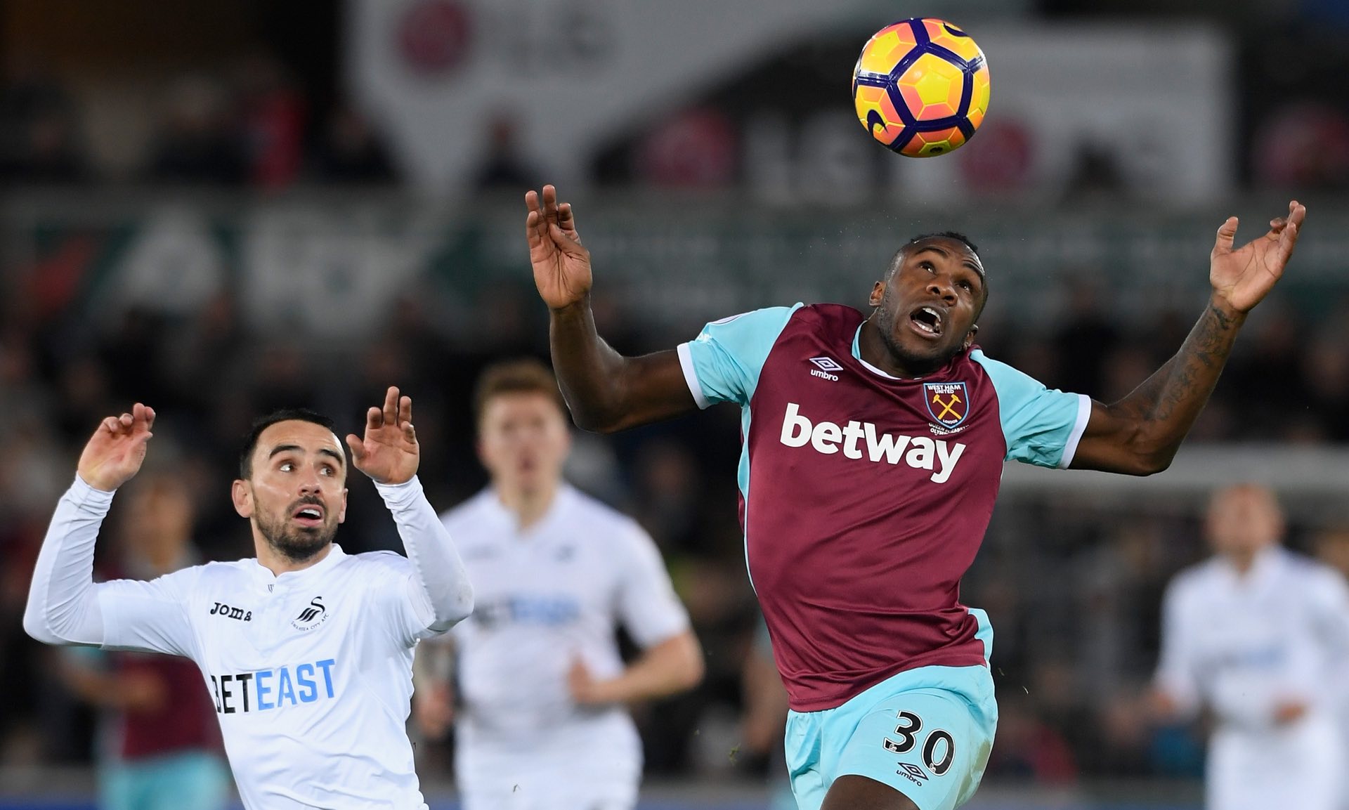 在这个家中 在这个家中