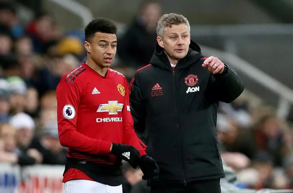 他们凭借灵 他们凭借灵