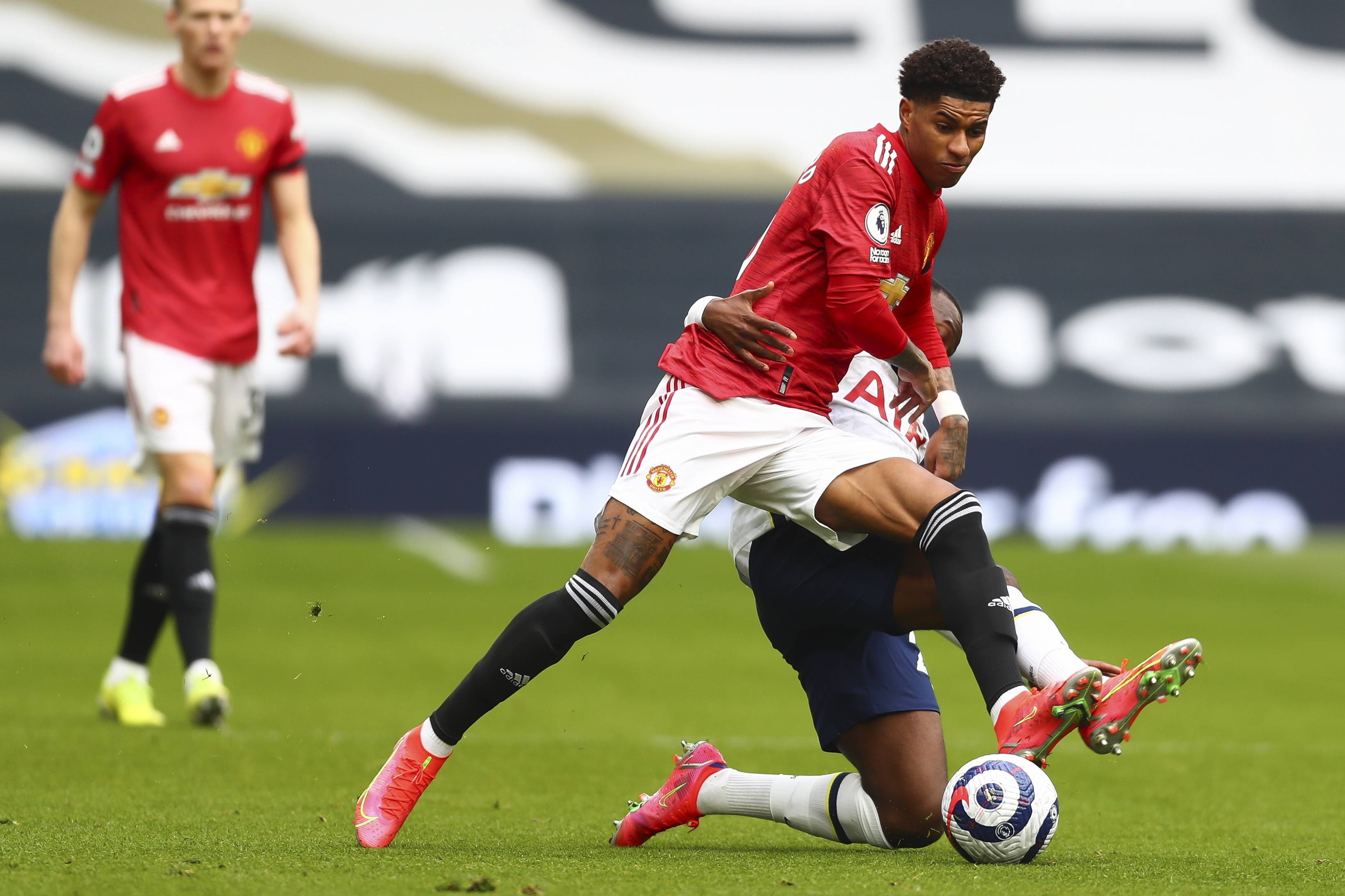 的每一个细 的每一个细